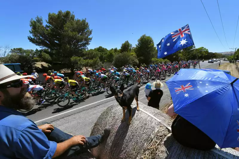 How to Watch the 2024 Tour Down Under - Live Streaming